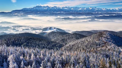 Z.....u - Tatry z wieży widokowej na Lubaniu. Polecam- wieża solidna, okolica piękna ...