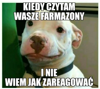 kozinsky - #heheszki #smiesznypiesek #prawda #reakcja #mozebyloaledobre #niebylobomoj...