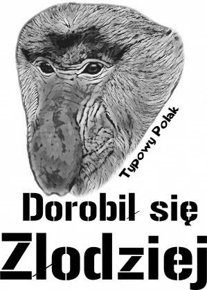 vomalio - > 400zł bo będą zapasową parą.

@F3NRIR: