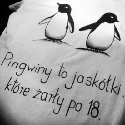 Taiffun - #heheszki #smiesznyptaszek #pingwiny