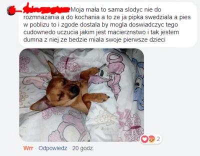 Mollina - Powiedzcie mi, skąd się biorą takie patologie? Ogarnięcie problemu bezdomno...