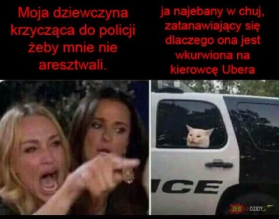 lsxol123 - #heheszki #humorobrazkowy #smiesznykotek