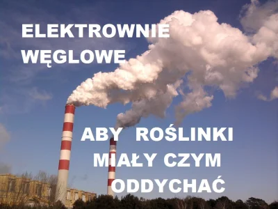 Cender - Palmy węglem, aby roślinki miały czym oddychać.

#bekazekologow #ekologia ...