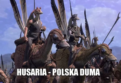 Felix_Felicis - #husaria #historia #humor #humorobrazkowy #heheszki #starwars #polska