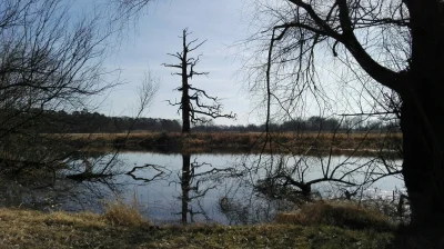 Einusologus - Chyba kojarzę drzewko. Tutaj wiosną 2017:)