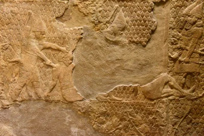 myrmekochoria - Obcinanie głów żołnierzom albo mieszkańcom Lachish