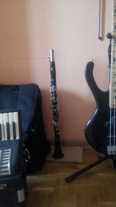 fontaine - #pokazinstrument #klarnet #gitarabasowa #akordeon
klarnet Buffet Crampon ...