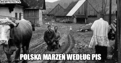 StaryWilk - #bekazkatoli #bekazpisu #historia #memy #humorobrazkowy #heheszki
Proces...