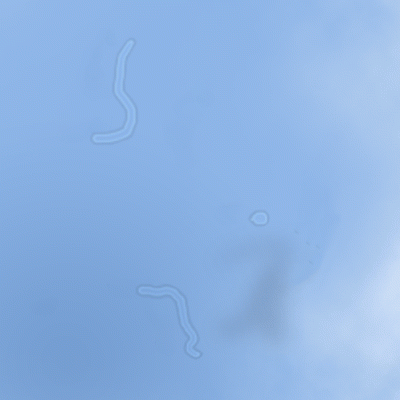 U.....a - @TomaszWKS: mówisz o mętach
https://pl.wikipedia.org/wiki/M%C4%99tycia%C5%...