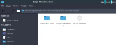 kacperski1 - @omx: No właśnie niby jest. Oprócz niego jakiś folder EmptySteamDepot.