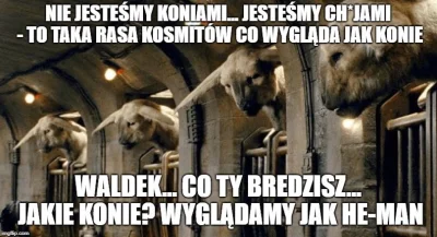 m.....x - #starbomba #kapitanbomba #heheszki #humorobrazkowy