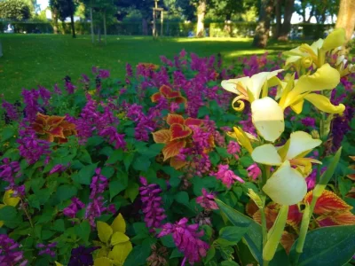 Draakul - @Tucano95: Ogród botaniczny - ale to akurat nie teraz, byłem na jesieni i m...