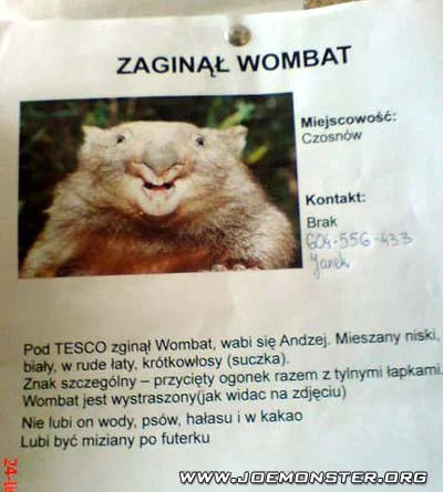 toodrunktofuck - @Kunurki: zawsze kojarzy mi się z wombatem Andrzejem