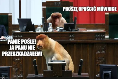 kosowiczJan - #polak #sejm