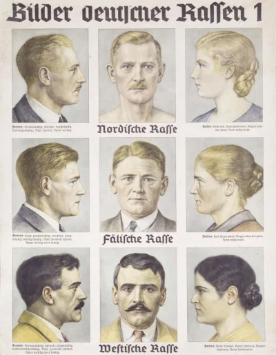 johanlaidoner - Niemieckie rasy- plakat z czasów III Rzeszy pokazujące typy rasowe wy...
