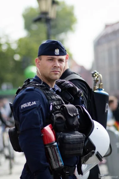 pago86 - Polski policjant