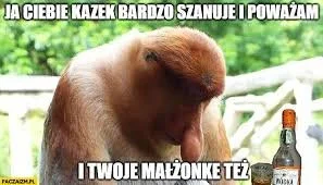 PeaK - Juz dzis w polskich domach...

#heheszki #humorobrazkowy #nosaczsundajski #pol...