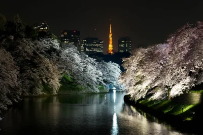 Lookazz - > Tokyo Tower and Sakura at Night
#dzaponialokaca <==== czarnolistuj
#fotog...