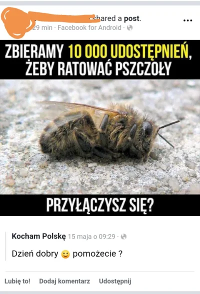 kola1703 - #facebookcontent ##!$%@?