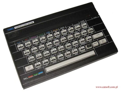 Amadeo - Ja z Pewexu miałem Timex 2040 (klon ZX Spectrum). Ależ to była maszyna! Grał...