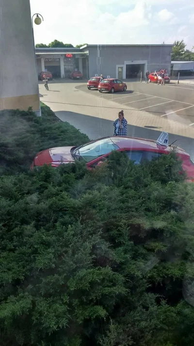 s.....o - #prawojazdy #kalisz #egzamin #heheszki

Tak się zakończył egzamin na praw...