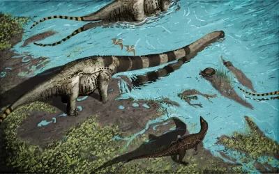 Trajforce - Ten teropod to altispinax
#paleoart #paleontologia #dinozaury
