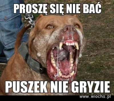 P.....a - @Martuchna69: Przy czym pitbul jest najlepszy do zabawy z dziećmi ( ͡° ͜ʖ ͡...