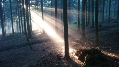 Akwer - #earthporn Rankiem na grzybach. Zrobione telefonem.