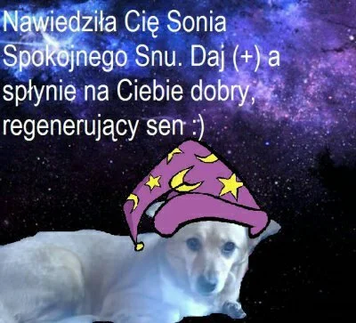 Majkielq - Dobrej nocy Miśki ʕ•ᴥ•ʔ
#danielmagical