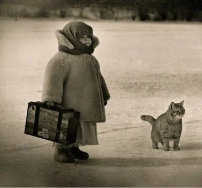 Sepp1991 - Nie wiem czy prawdziwe ale klimat jest ...
#rosja #fotografia #koty