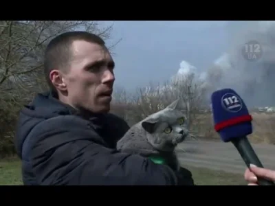 Zari - Ukraiński #wacik po przejściach.
#ukraina #koty