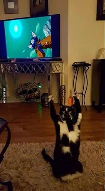 okoniaczek - Takiego kota to ja mogłabym mieć ( ͡° ͜ʖ ͡°)

#dragonball #koty #humor...