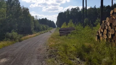 maxPL - Wycieczka rowerowa Przemkowski Park Krajobrazowy