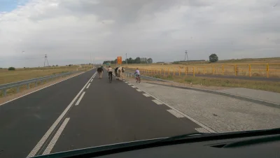 znor1006 - Niedawno wybudowana droga z drogą pomocniczą obok dla ciągników rowerów i ...