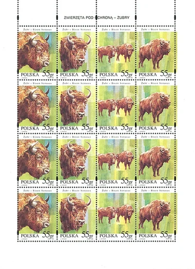 m.....3 - Polskę reprezentuje między innymi żubr (Bison bonasus) , wielokrotnie umies...