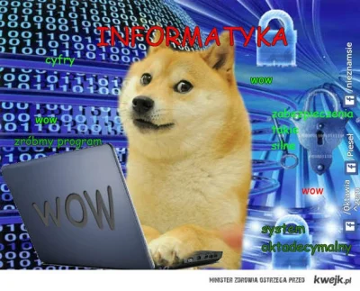 apanKuba - #doge #kwejksrejk #kucowanie