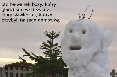 szajha - #pokazbalwana #balwanboners #zima #snieg #dzialalnoscpseudoartystyczna