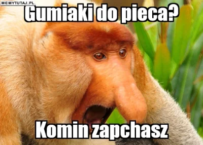PawelW124 - #humor #heheszki #polak #nosaczsundajski #smog #nosacz #polskiedomy