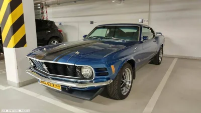 KiciurA - ale Robaczek ( ͡° ͜ʖ ͡°)

Mustang 1970, Warszawa

#carspotting #carbone...