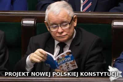 StaryWilk - #bekazpisu #polityka #konstytucja #koty #memy #humorobrazkowy #heheszki