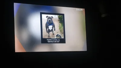 konstruisto - W tv króciutka przerwa żeby pokazać memy, bo te "internetowe obrazki ta...