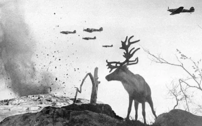 HaHard - Samotny renifer w szoku przygląda się bombardowaniu Rosji.
WWII, 1941

#h...