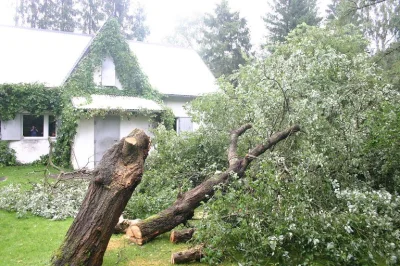 corrs - A to moja. Nie jest może taka klimatyczna, ale za to w środku własnego lasu.
...