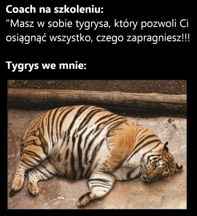 multimaszyny_eu - #heheszki #humorobrazkowy 
ktoś tu wstawiał mema z tygrysem, ale w...