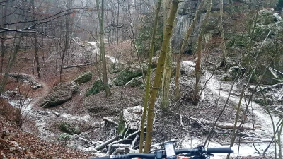 SteffK - Dzisiejszy warun w lesie ( ͡º ͜ʖ͡º)
#rower #ruszkrakow