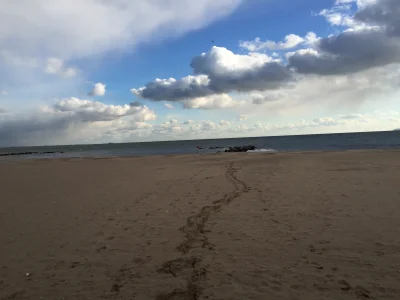 analogowy_dzik - miała być plaża to jest i plaża. co z tego że -2 stopnie

#NY #chwal...