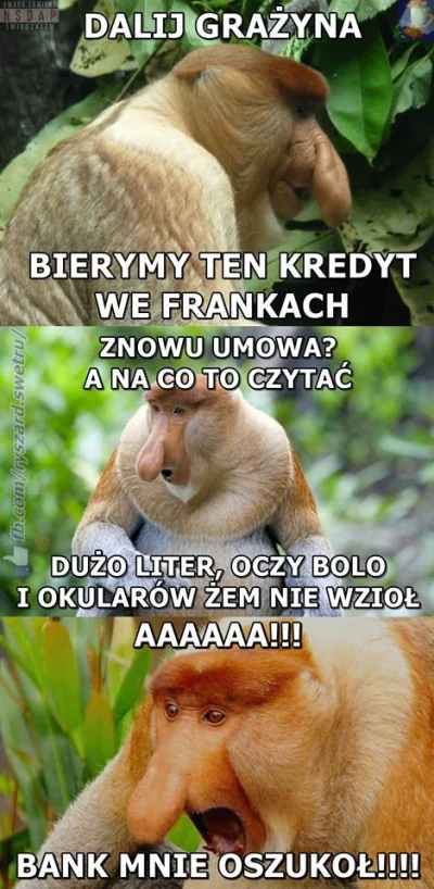 J.....k - xDD
#heheszki #humorobrazkowy #polak #bekazpodludzi #bekazfrankowiczow