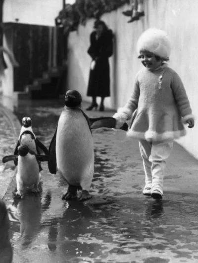 szkkam - #pingwinboners



SPOILER
SPOILER