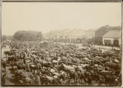 N.....i - > Opatów



@owsikalfred: [Jarmark na rynku w Opatowie].1914.