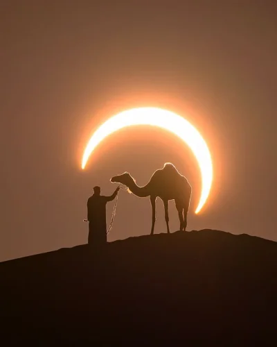 ntdc - Zaćmienie Słońca na środku pustyni w Zjednoczonych Emiratach Arabskich (ZEA).
...